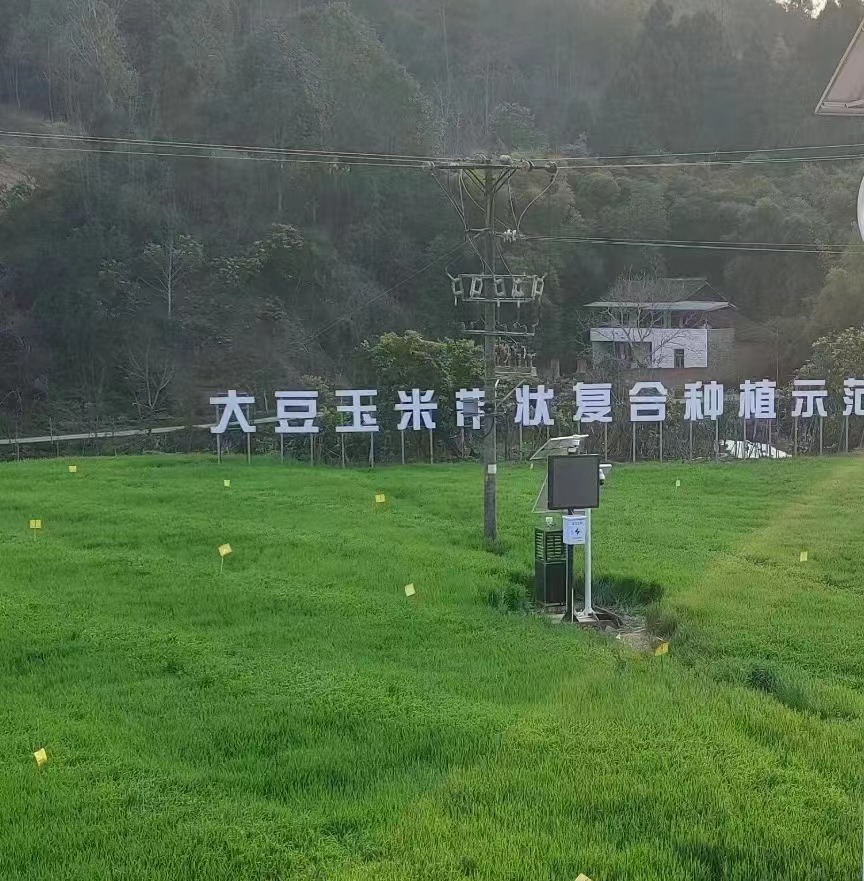 物联网让农业哪些“不可能”变为“可能”