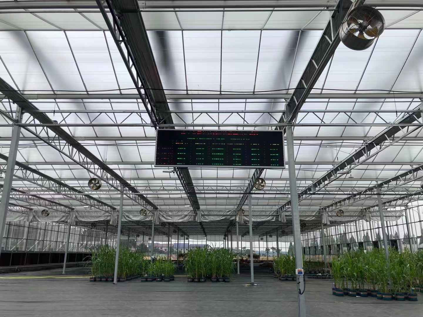 物联网小知识：常见的传感器类型都有哪些？